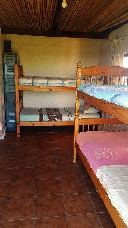 The Wild Farm Backpackers Hostel Wildernis Екстериор снимка