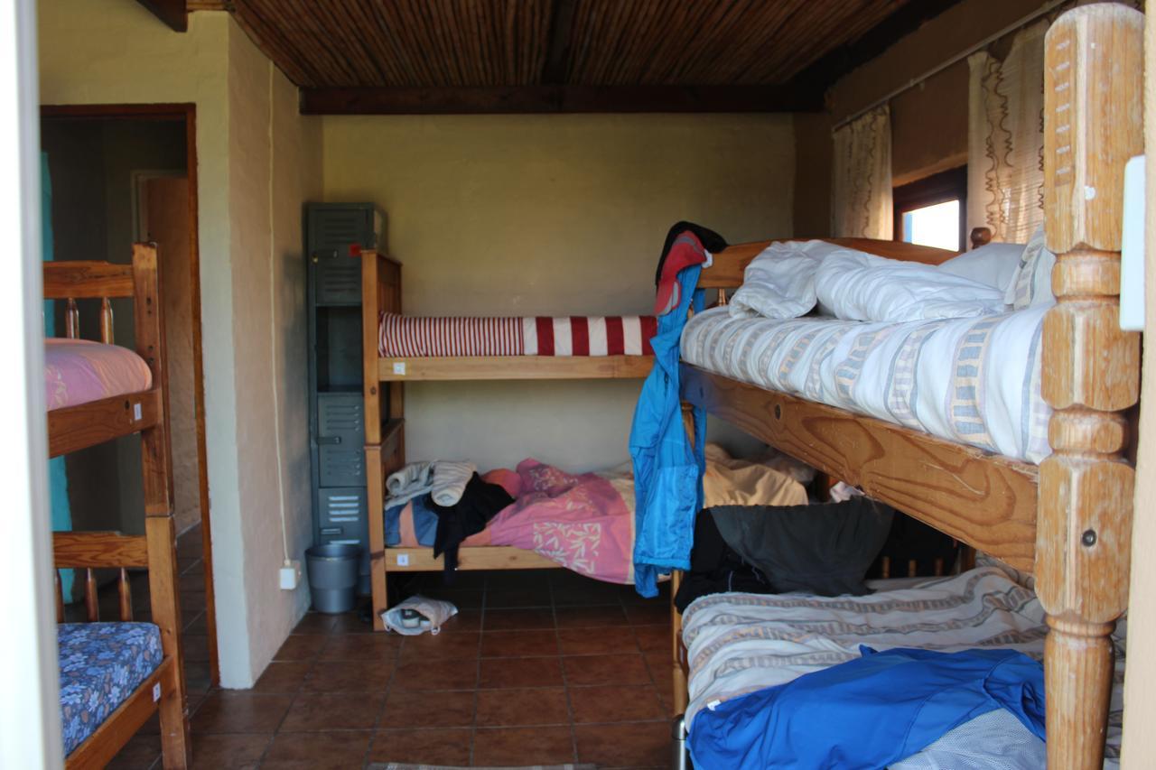 The Wild Farm Backpackers Hostel Wildernis Екстериор снимка